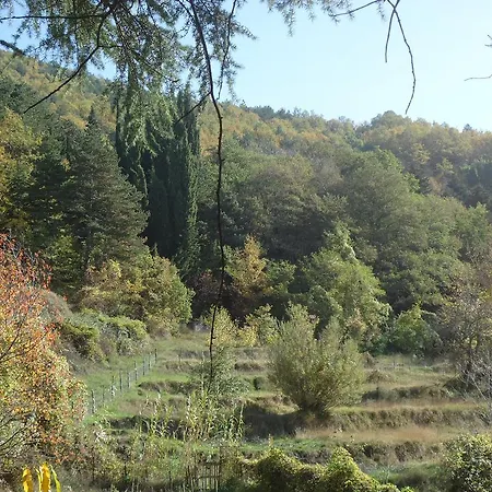 La Casa Di Enza Pignola